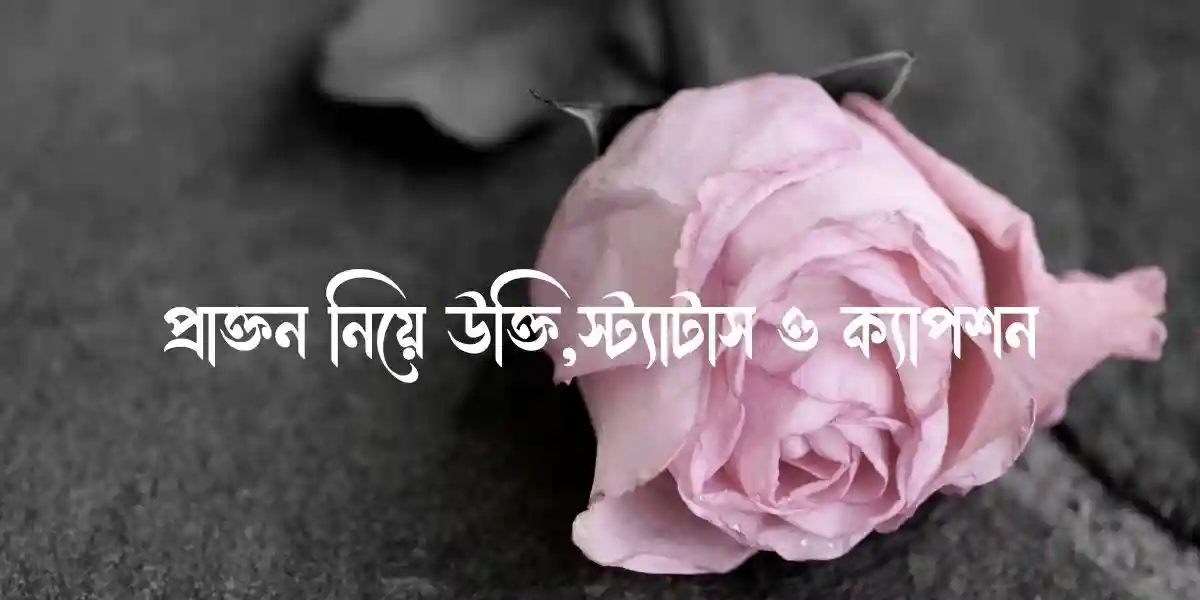 প্রাক্তন নিয়ে উক্তি,স্ট্যাটাস ও ক্যাপশন