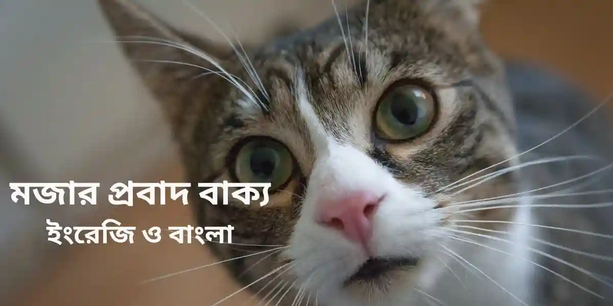 মজার প্রবাদ বাক্য,ইংরেজি ও বাংলা