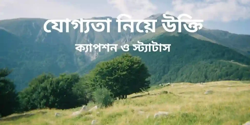 যোগ্যতা নিয়ে উক্তি,ক্যাপশন ও স্ট্যাটাস
