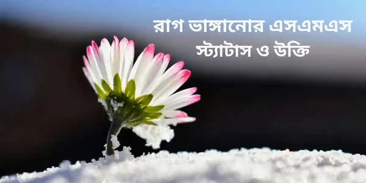 রাগ ভাঙ্গানোর এসএমএস,স্ট্যাটাস ও উক্তি