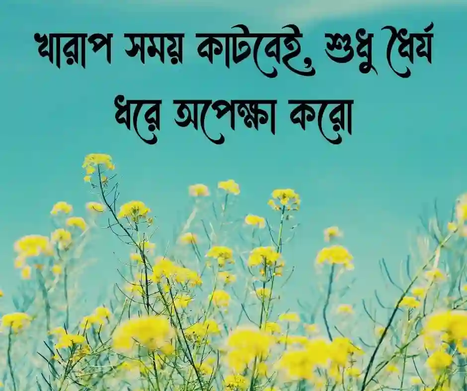 উপদেশ নিয়ে উক্তি