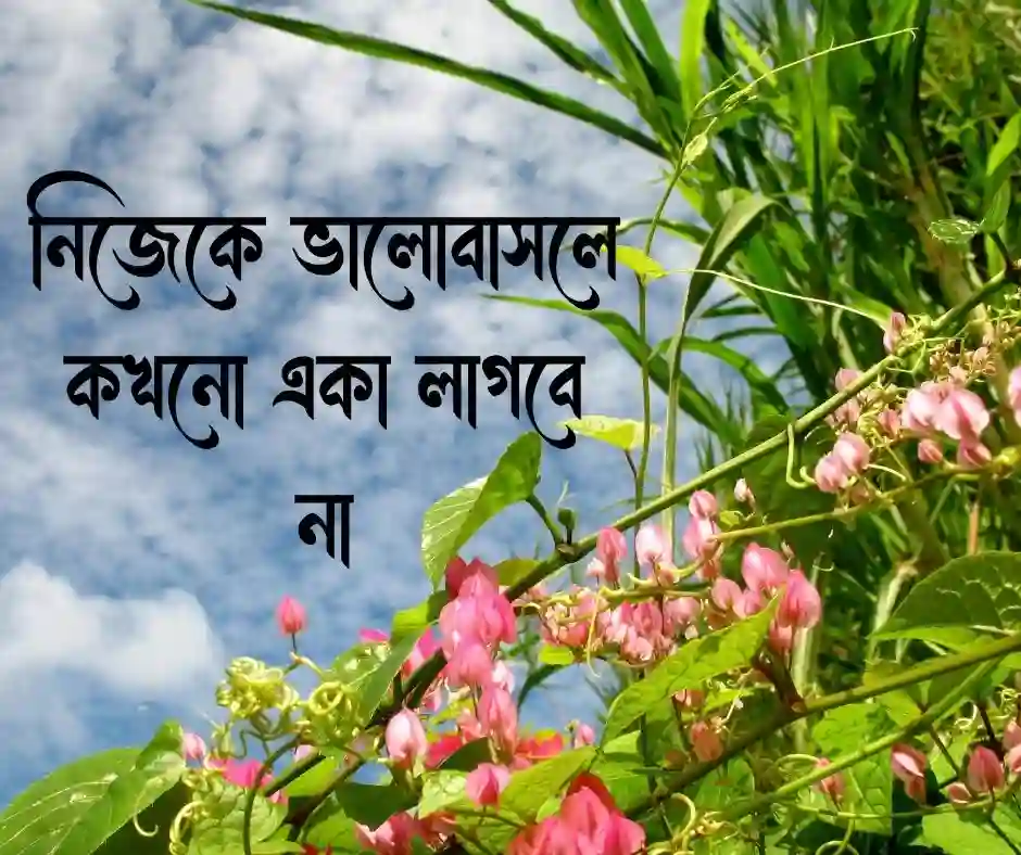 উপদেশ নিয়ে ক্যাপশন