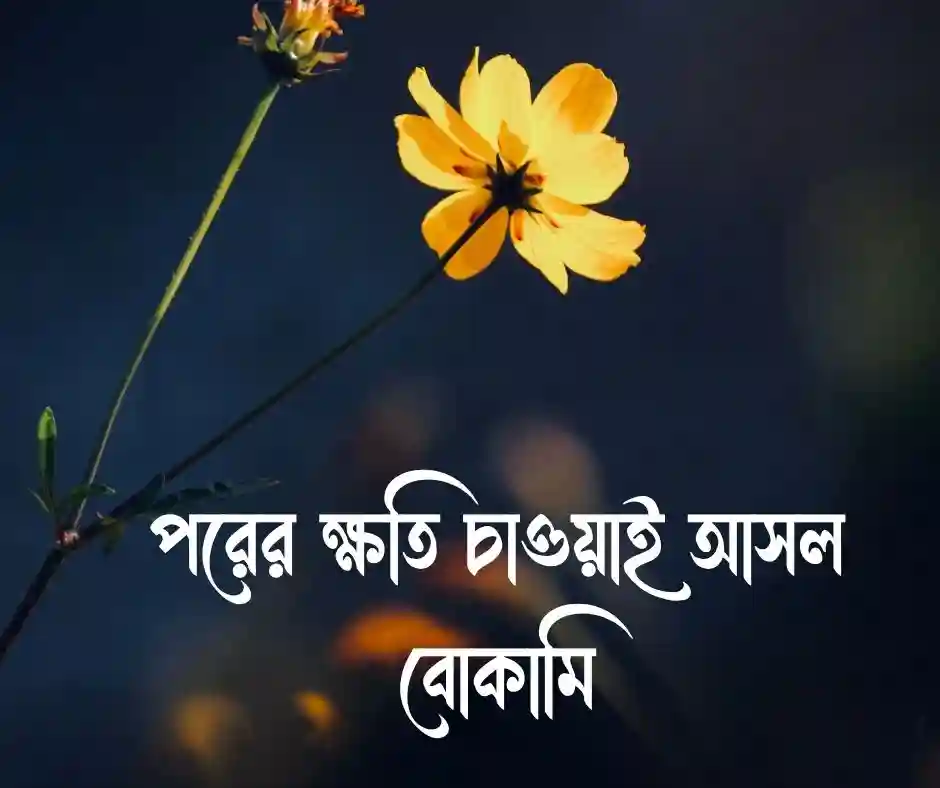 চালাকি নিয়ে স্ট্যাটাস