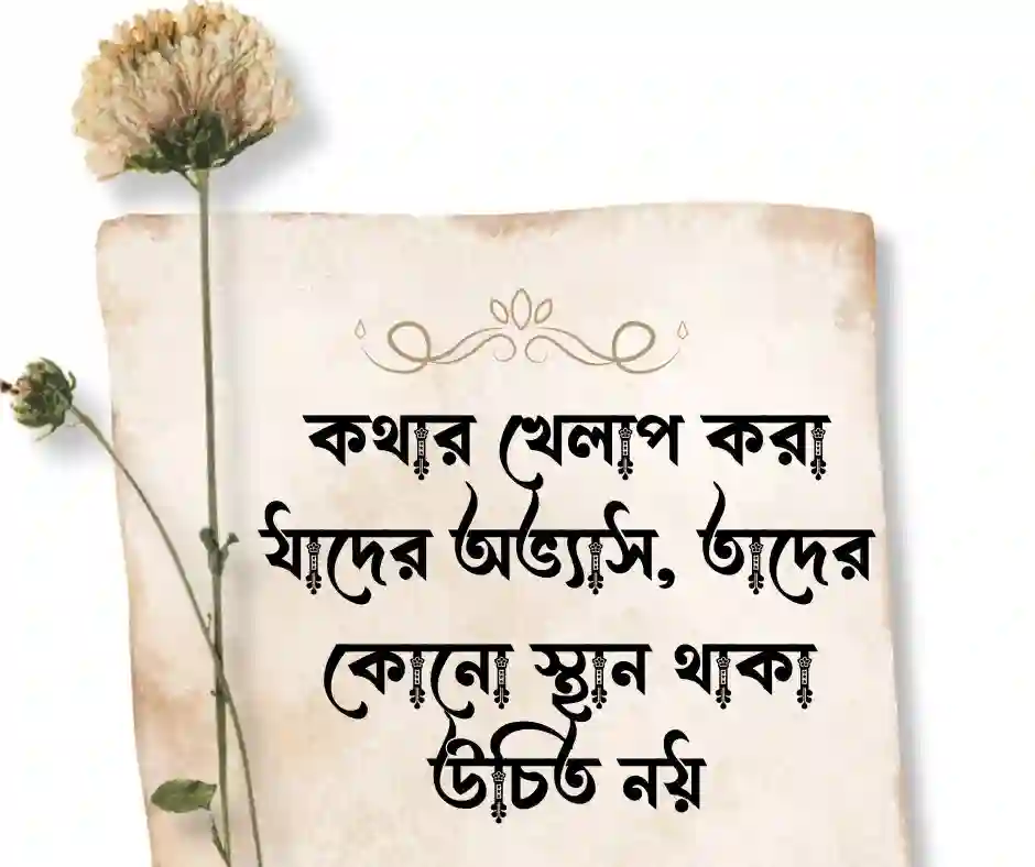 পল্টিবাজ নিয়ে স্ট্যাটাস