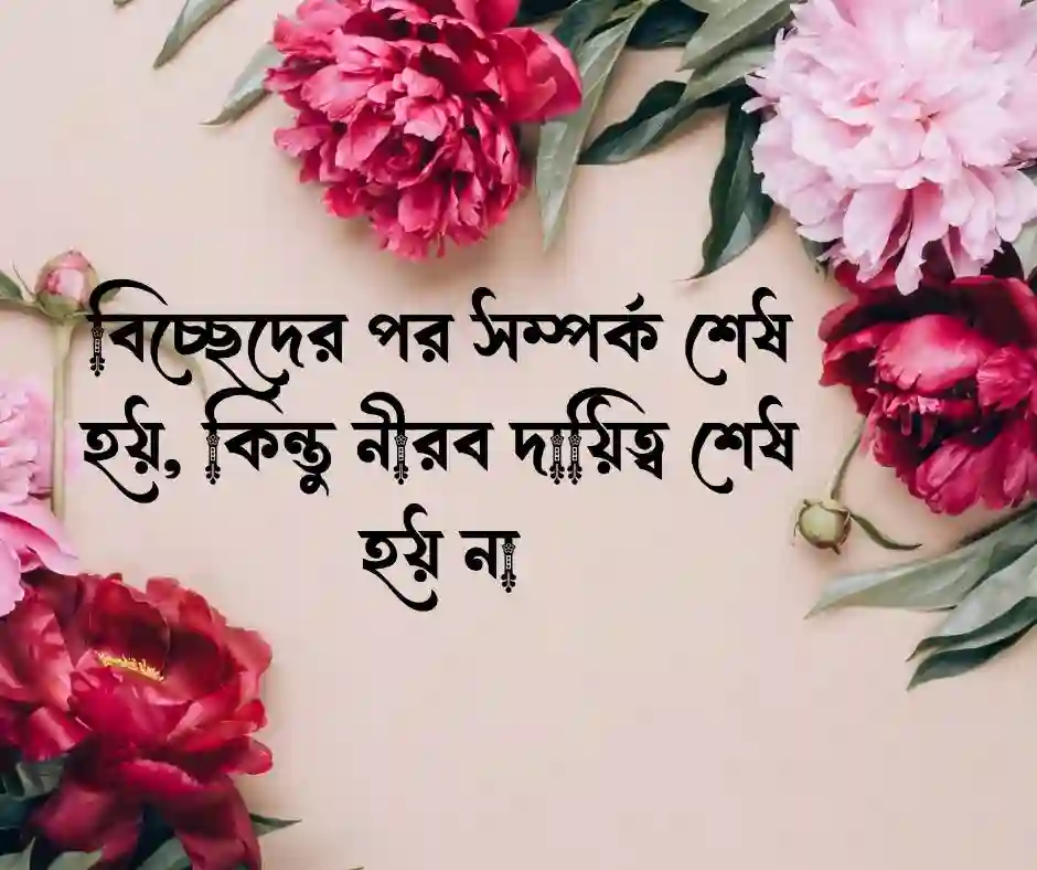 পুরনো সম্পর্ক নিয়ে উক্তি