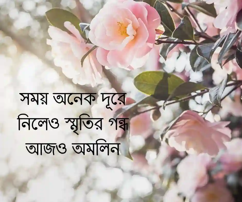 পুরনো সম্পর্ক নিয়ে ক্যাপশন&nbsp; (1)