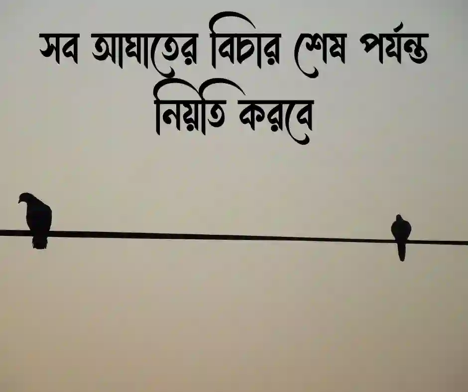 প্রতিশোধ নিয়ে স্ট্যাটাস
