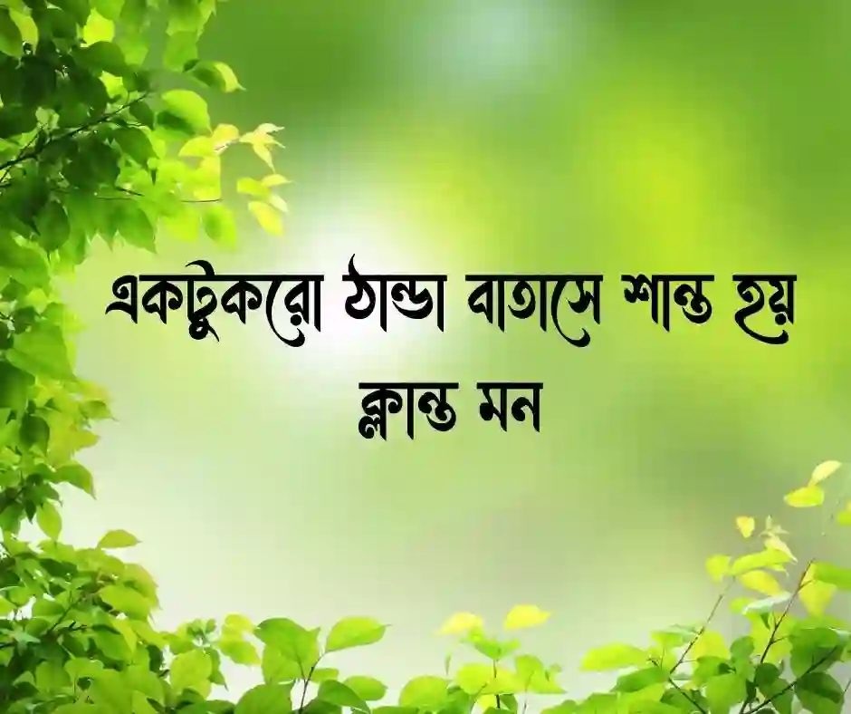 বাতাস নিয়ে ক্যাপশন