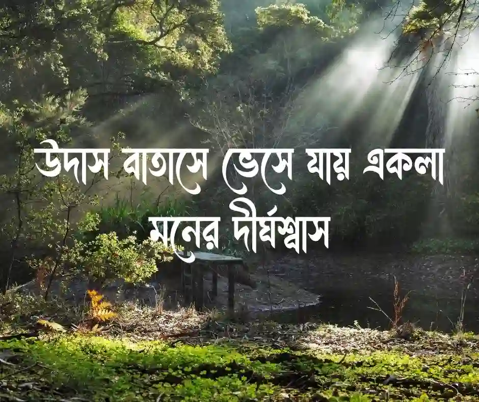 বাতাস নিয়ে স্ট্যাটাস