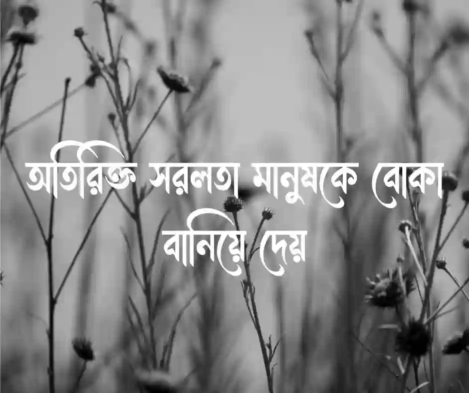 বোকা মানুষ নিয়ে ক্যাপশন