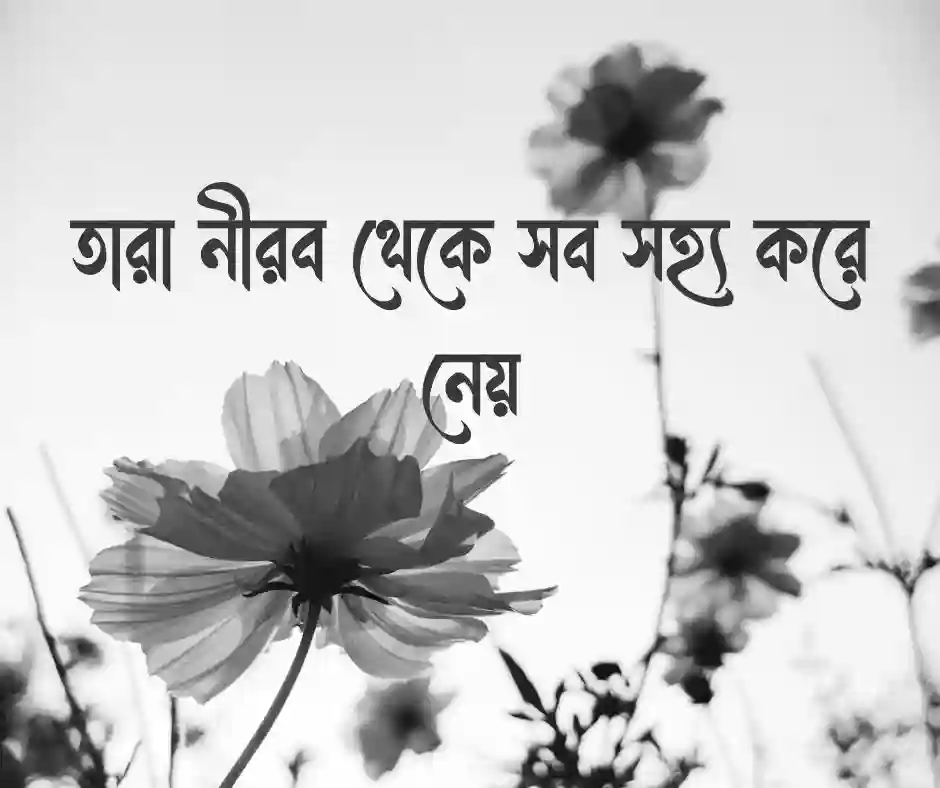 বোকা মানুষ নিয়ে স্ট্যাটাস