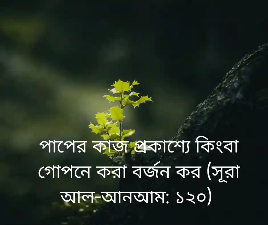 ছলনাময়ী নারী নিয়ে কোরআনের আয়াত