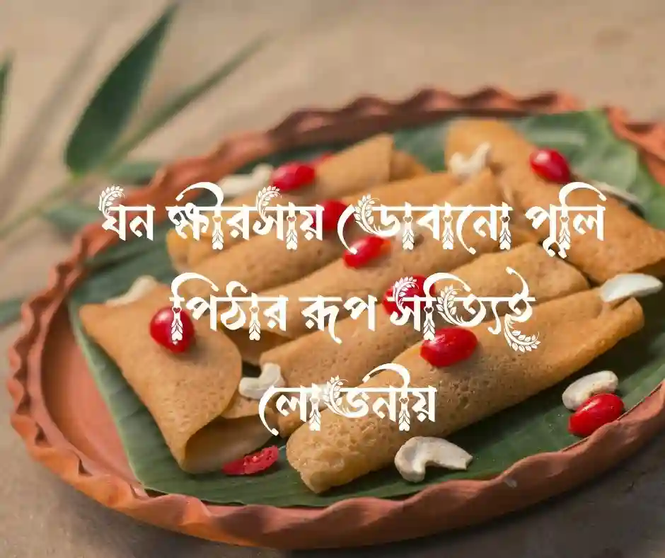 দুধ চিতই পিঠা নিয়ে ক্যাপশন