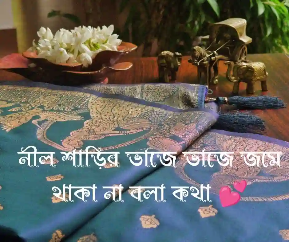 নীল শাড়ি নিয়ে ক্যাপশন