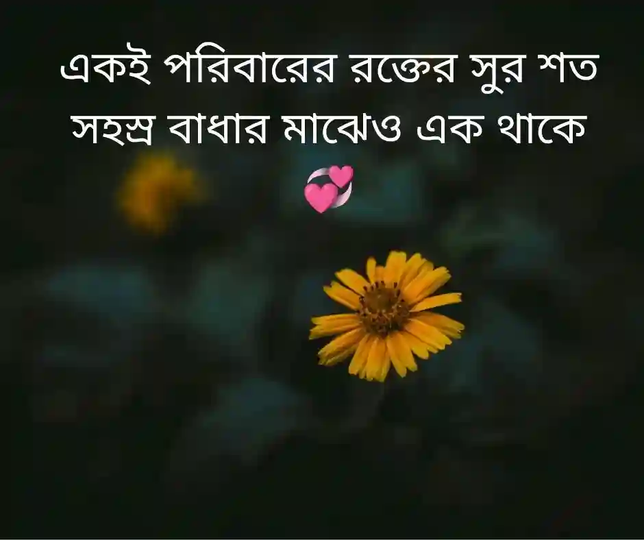 পরিবার রক্তের সম্পর্ক নিয়ে উক্তি