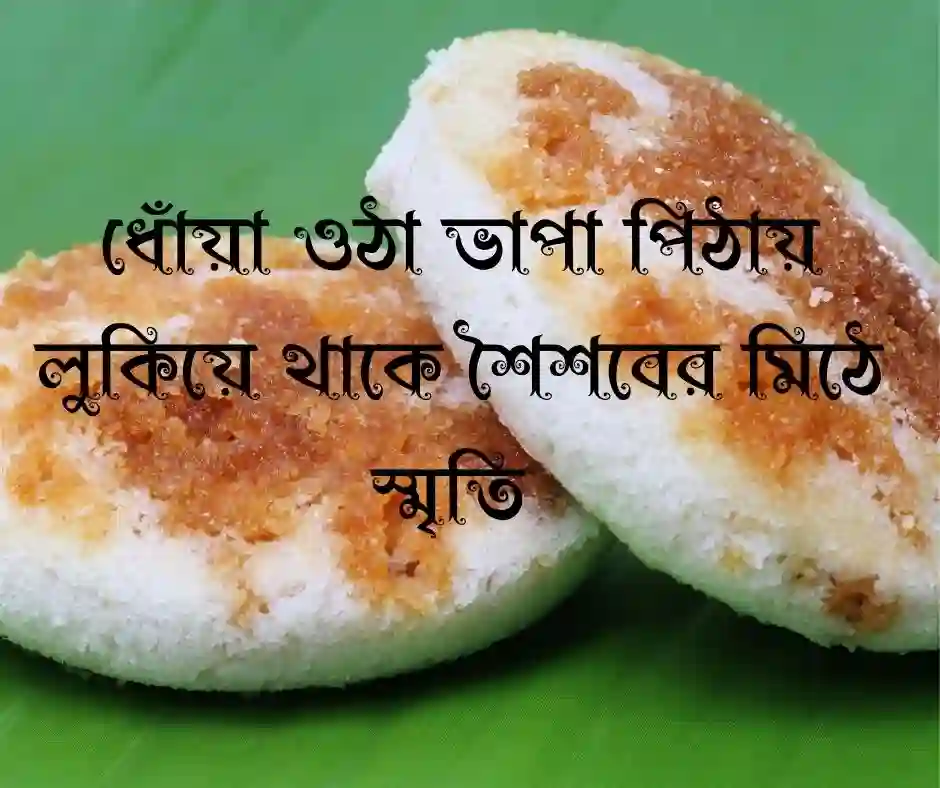 ভাপা পিঠা নিয়ে ক্যাপশন