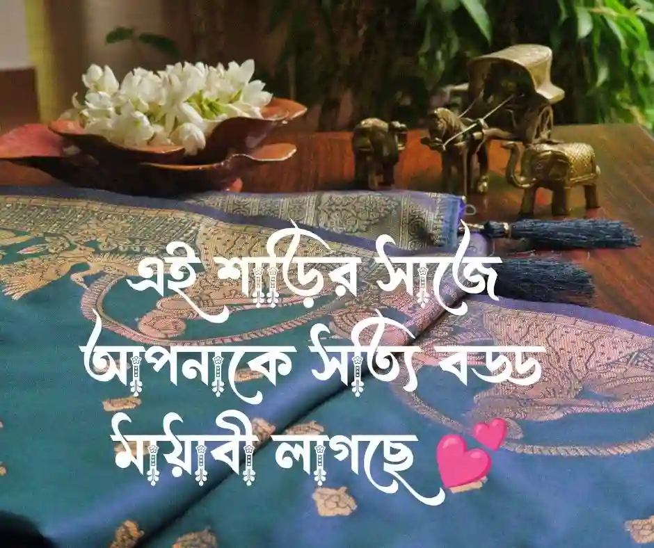 শাড়ি নিয়ে প্রশংসা
