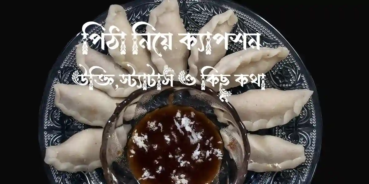 100+ পিঠা নিয়ে ক্যাপশন,উক্তি,স্ট্যাটাস ও কিছু কথা